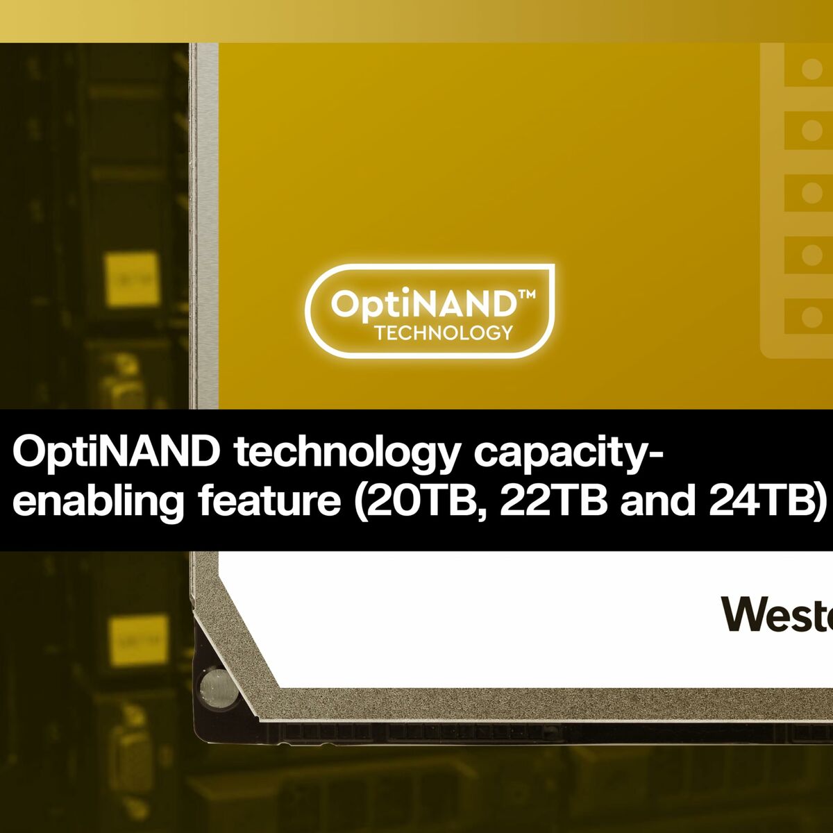 V6HD013AA0DC347A71FE2B7B366D6B2273AR6169076P10