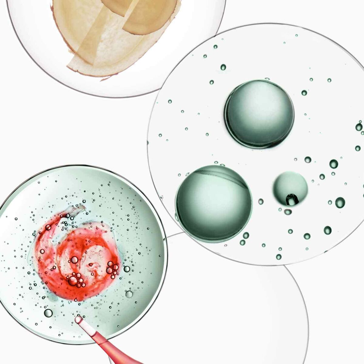 V4H306B3618C1A78FD1BA0D2D02FD911DA2R7095581P3