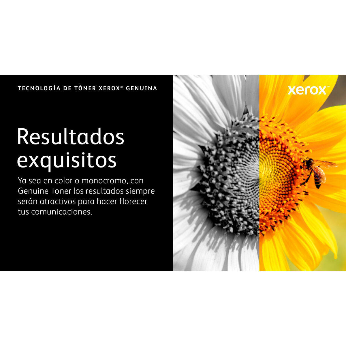 V2H58EEF22135B211F9948EA7D1A002FB03R7616315P8