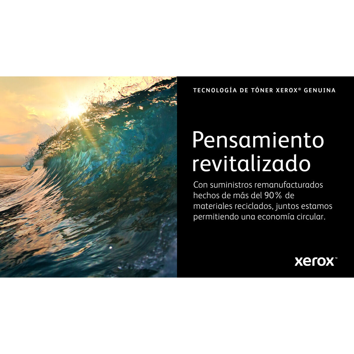 V2HA79CFEB22800625323D3565ED256D783R7616319P10