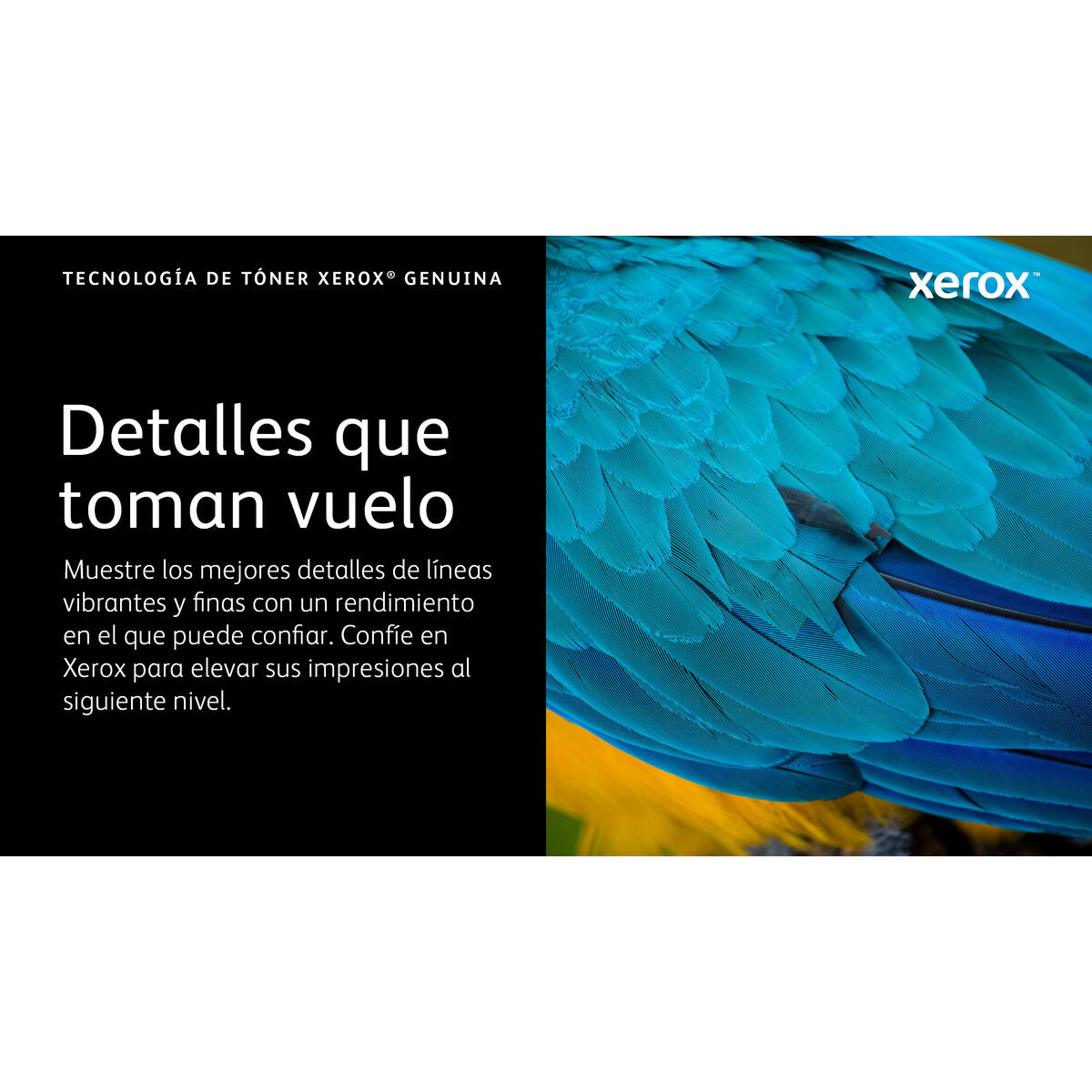 V2H70DE5A356583028795A5C0F9A1562C73R7616306P3