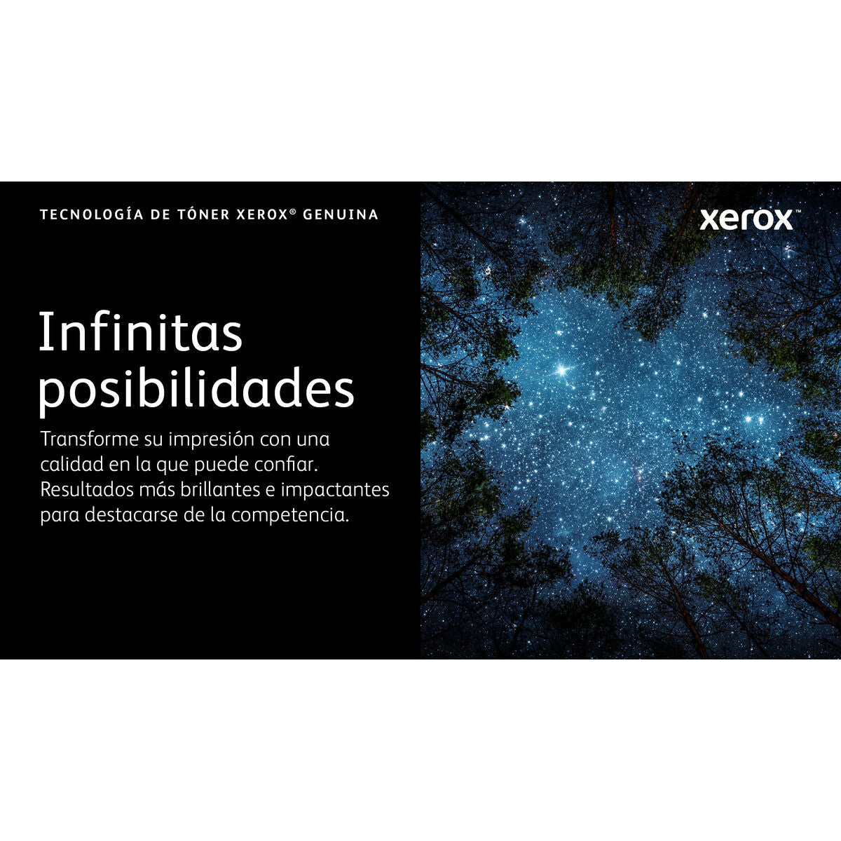 V2H521A63D0C94A62087EAC6D6172ABECE5R7616308P4