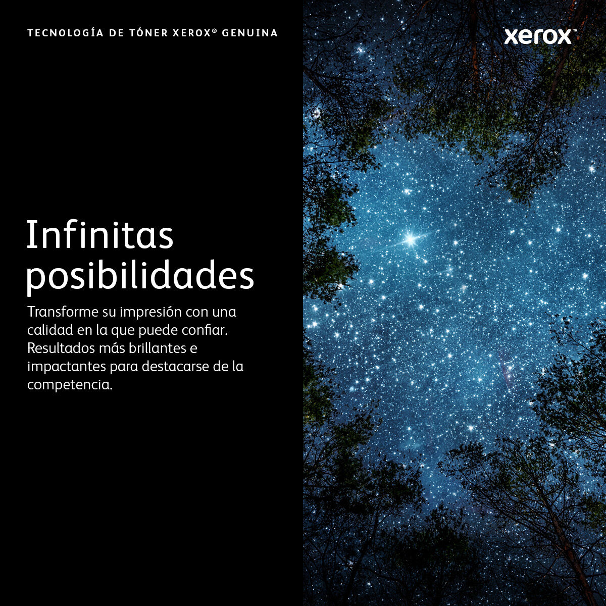 V5H61B23C896BDED4B25BC96DDBDCFDD49ER5855070P4