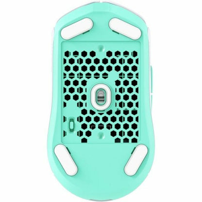 V6H4FA76B26AE99D9FAF14A45BFBA0C5483R4639585P3