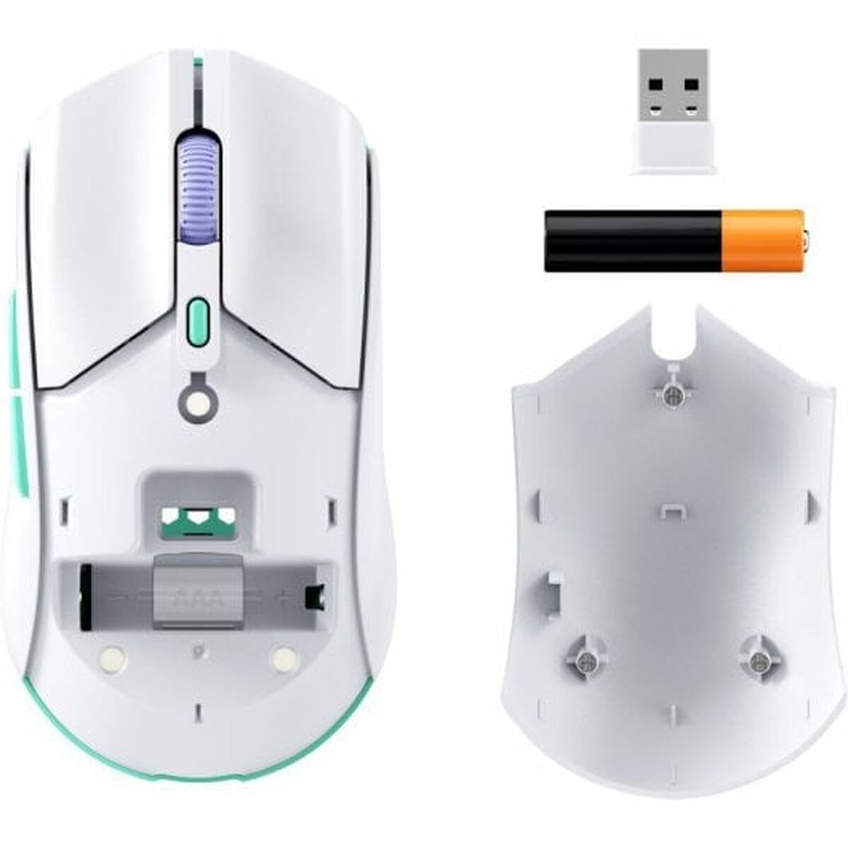 V6H725E77570A3FEDC66EB33EA17E64D116R4639593P5