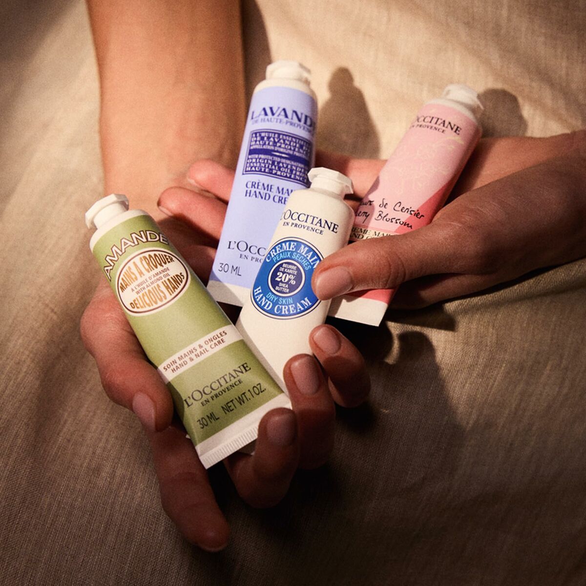 V5HBE31875B24B4E2ED57802C8C360D5220R6240738P3