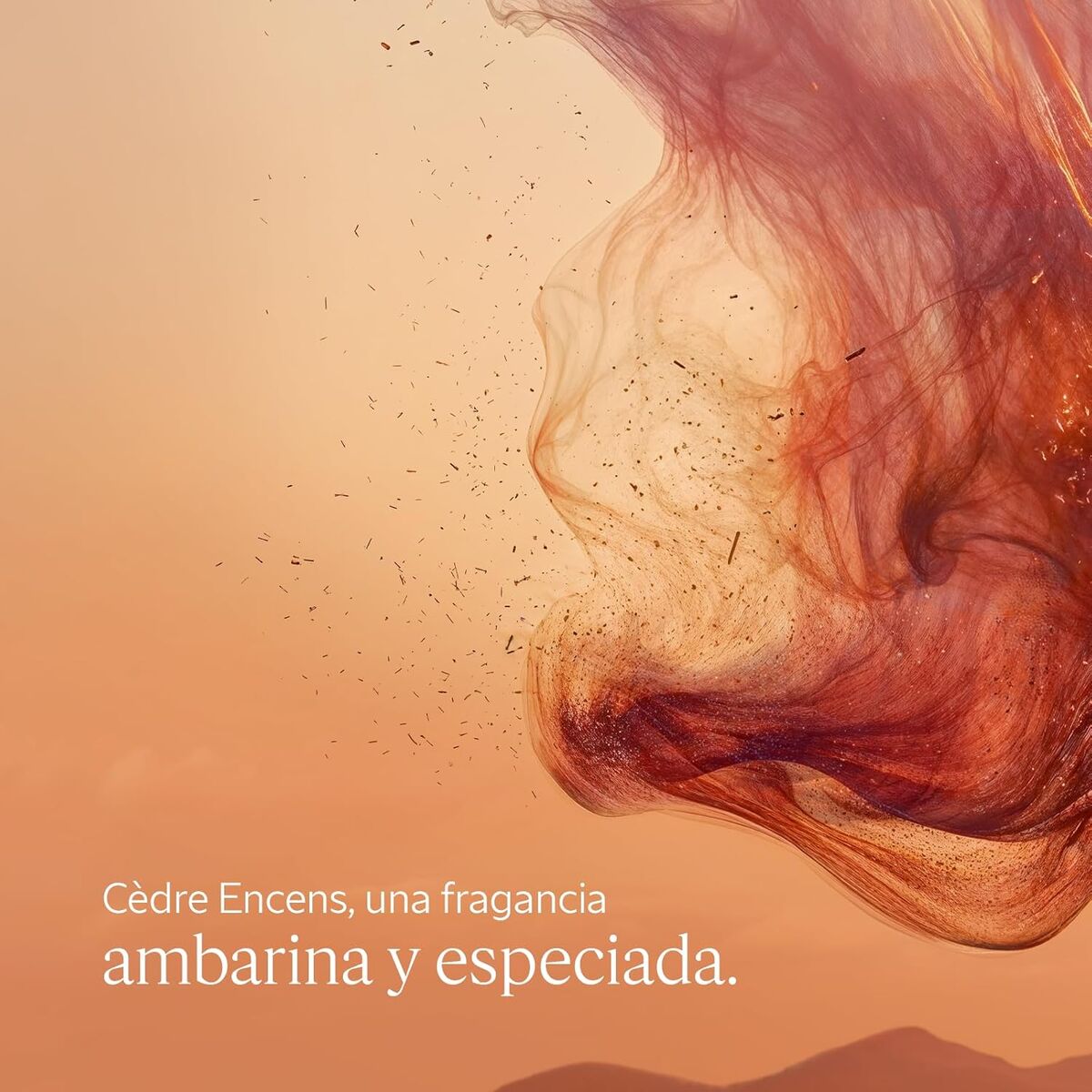 V4H7A47187D570C9A91A0FA2FF89590E957R7407119P3