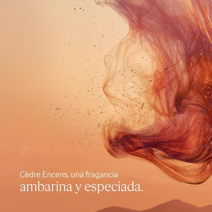 V4H7A47187D570C9A91A0FA2FF89590E957R7407119P3