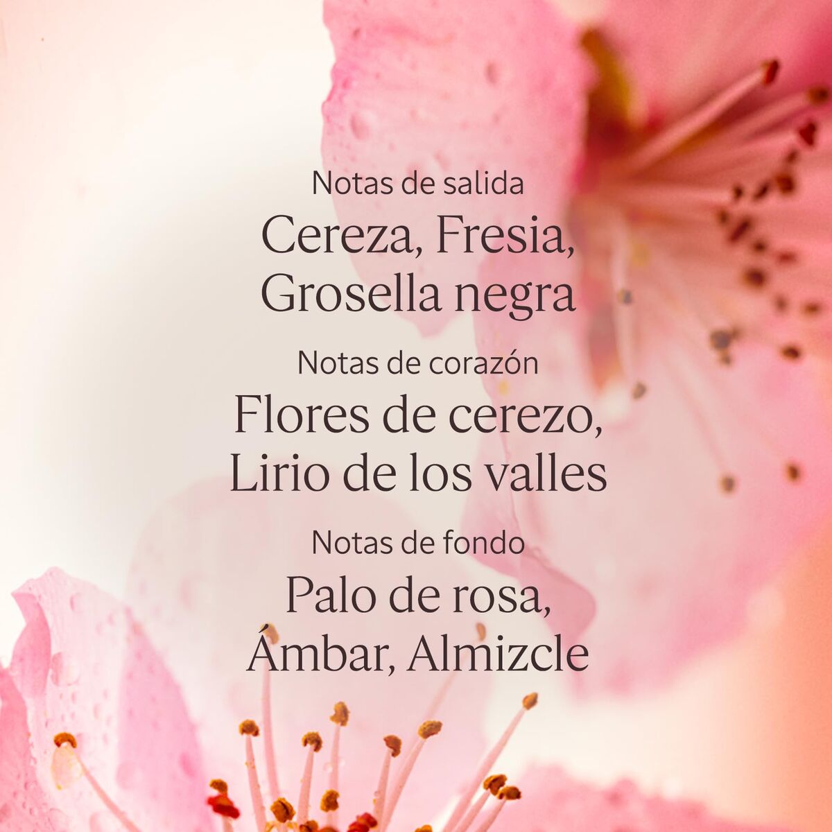 V4H029D432E27B76117FA4CEDA3B627E7A3R7407089P4