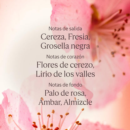 V3H9CB5457937ECC51AC57B189980A4D378R7592839P4