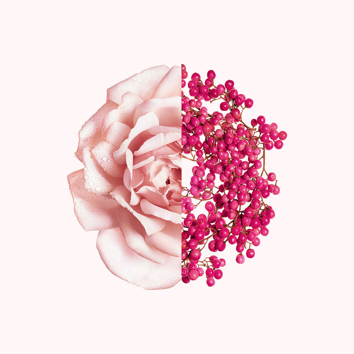 V5HAAC22B406C090608BE8CFC199168D959R6215014P3