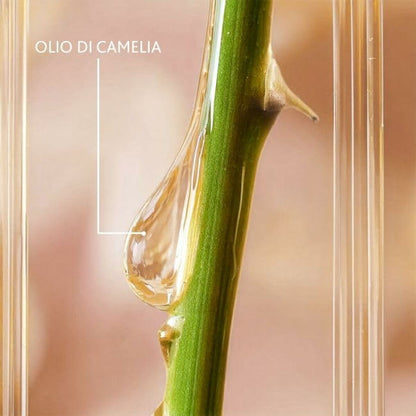 V5H85101D389947B8B428C66C68ED9659BBR5608847P2