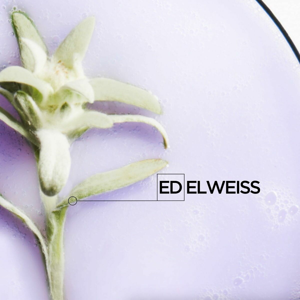 V5H3E0F7DE45D9B7BDCC01B3EC8D668725DR5681312P10