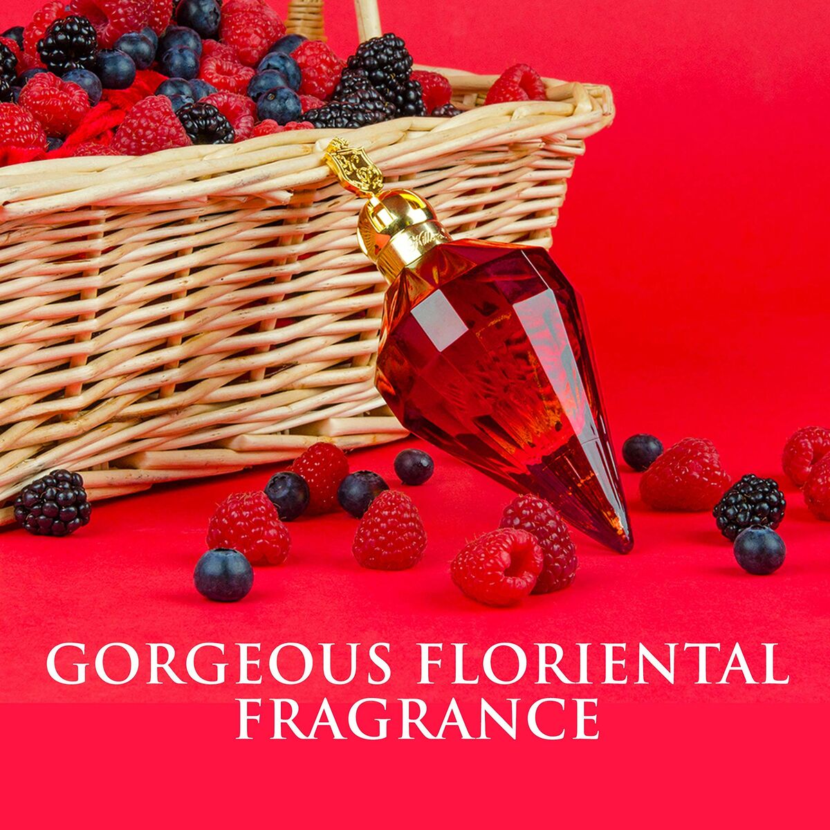 V6HDAFD0EC5C769425869A22CCE3B9D654FR5180772P6