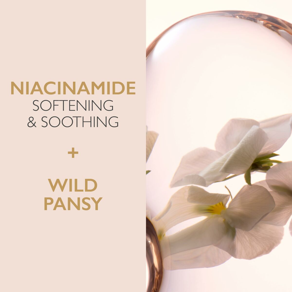 V5H8F5F9E398DD675D7F1DA75A80AD9FD29R6237971P2