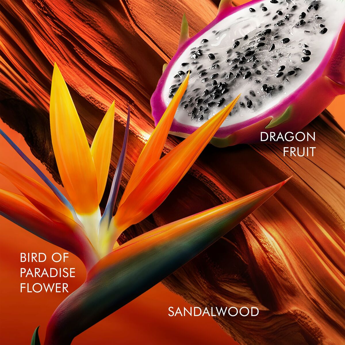 V5H800290CE8F00C6C469AE95992198A050R6240784P3