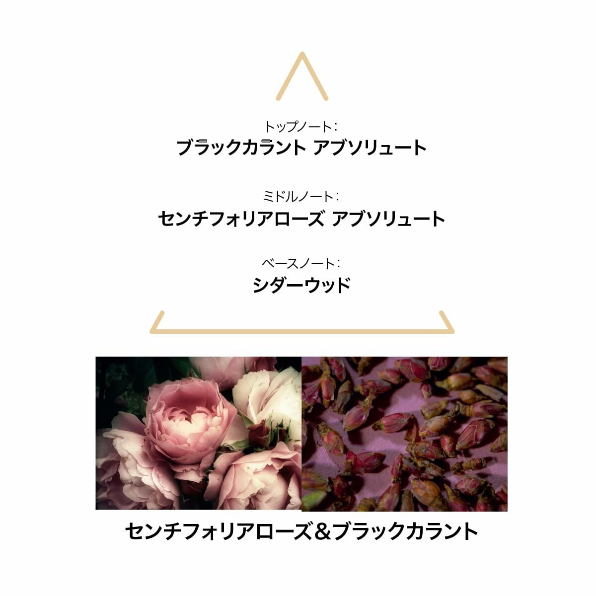 V8H7960B72503EE0C7A1D12830EBD9A166DR7186210P3