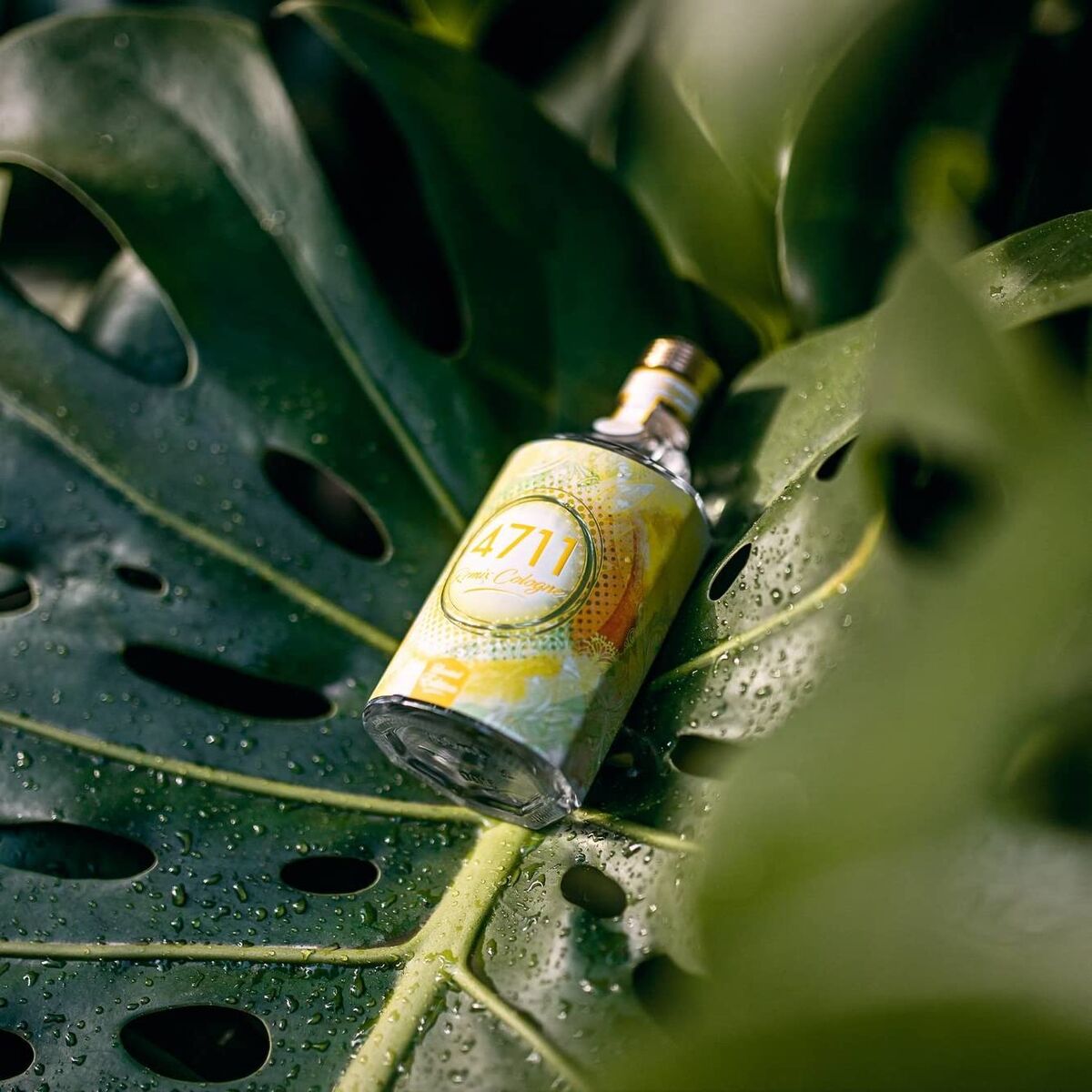 V4H97572DE43F5433C0813C3624216F65EDR7528132P4