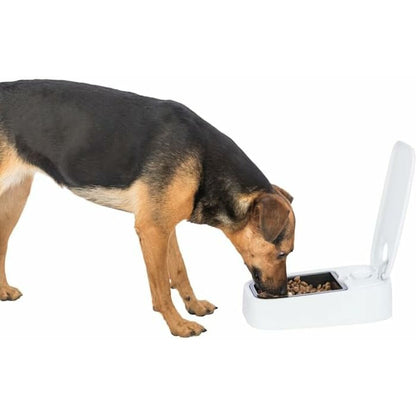 V5HE4AB3F0CF32094EDE9036F805F651020R7461871P9