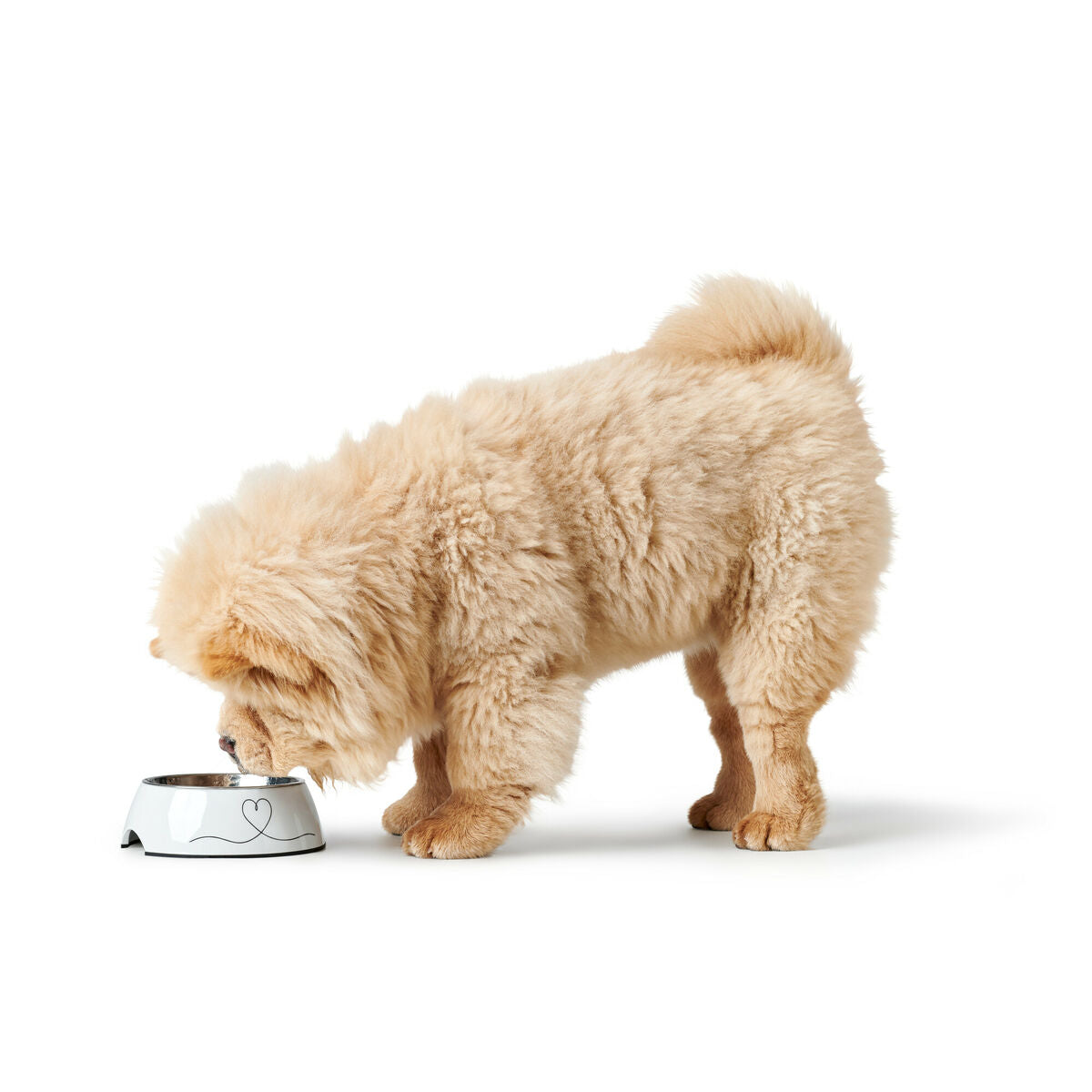 V5H7622BB8593D09397B254A597632ECED1R5574370P2