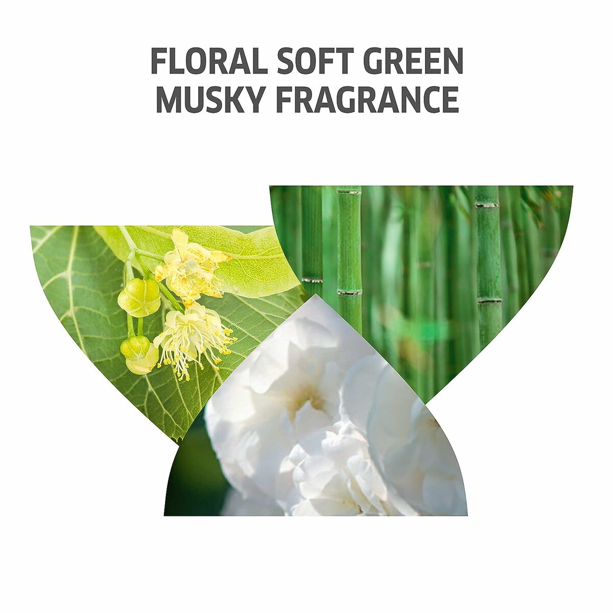 V8H792602F13BB4CBCA6909F132C4278D7ER3864620P9