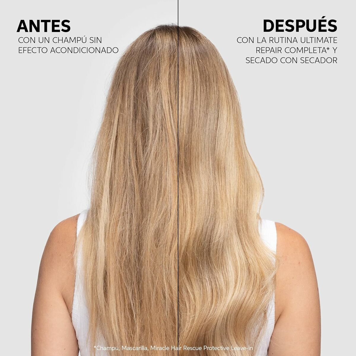 V6H1B5321D84F041638842823F94B6080A2R4393987P5