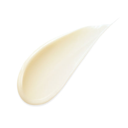 V6H366BF60CD0C845E1F63D8ECF0EFF19C2R3244725P2