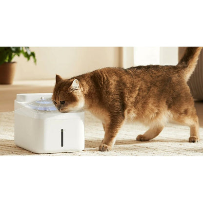 V2H62A1A625CF2AA660D221149618B341BAR7607050P6