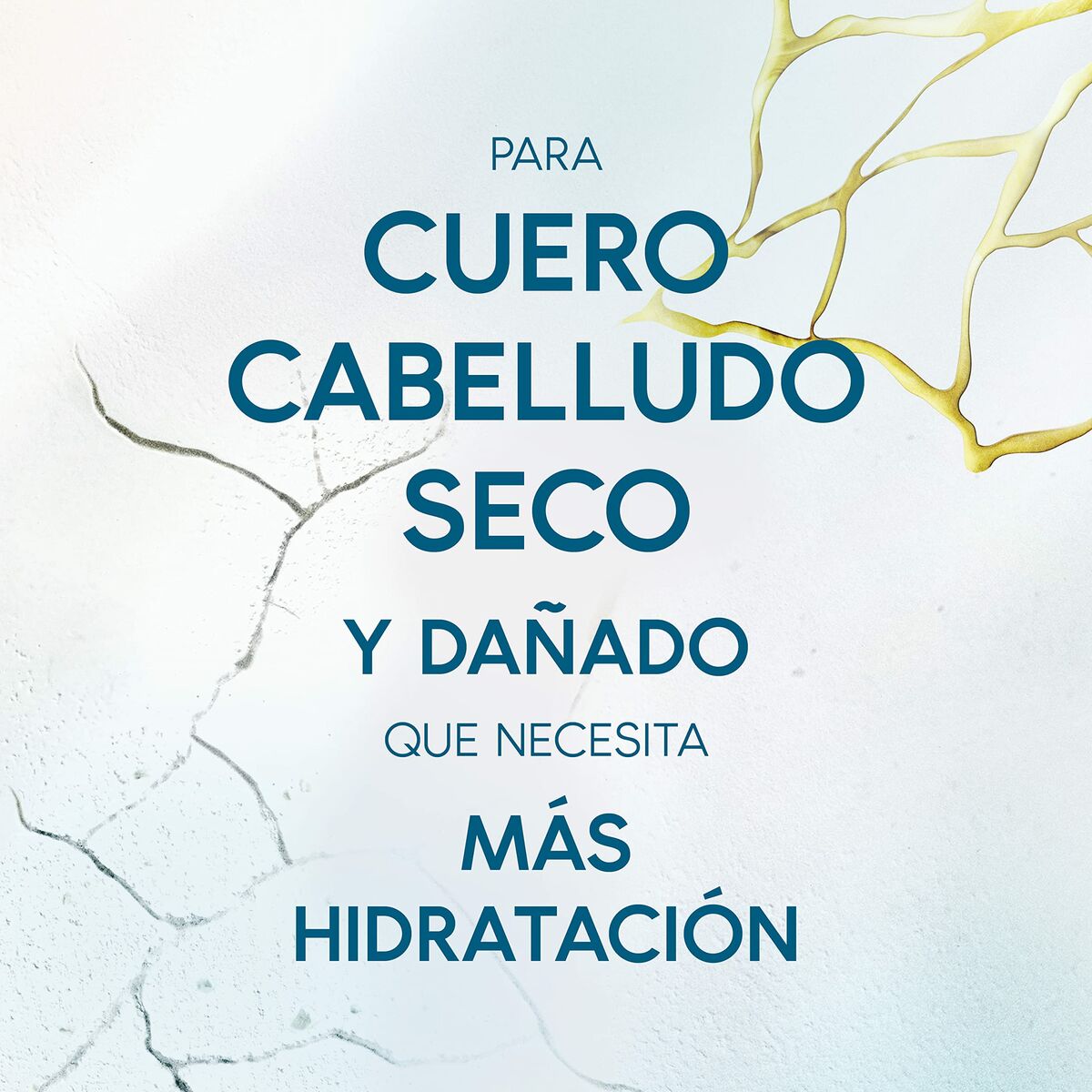 V8HFDC8C79B425FD5AFE8A644D4F24484B3R3652895P4