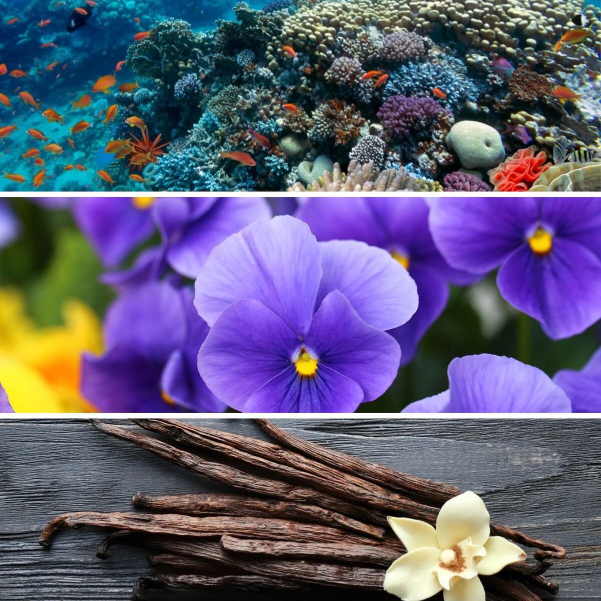 V2H8C38C55F47B94FAE85148FDB035D9942R7724104P3