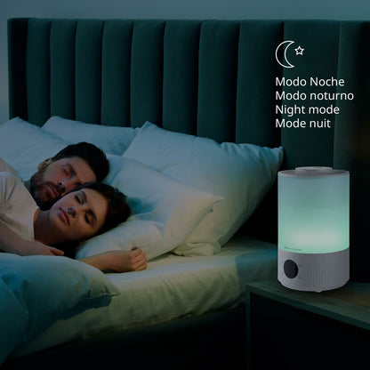 V4HAC686FC65C0F5EE765802E8D03DA1813R7529206P6