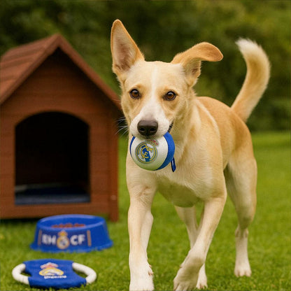 V4HB76375FE3171351623D1321E5B729C77R7026801P8