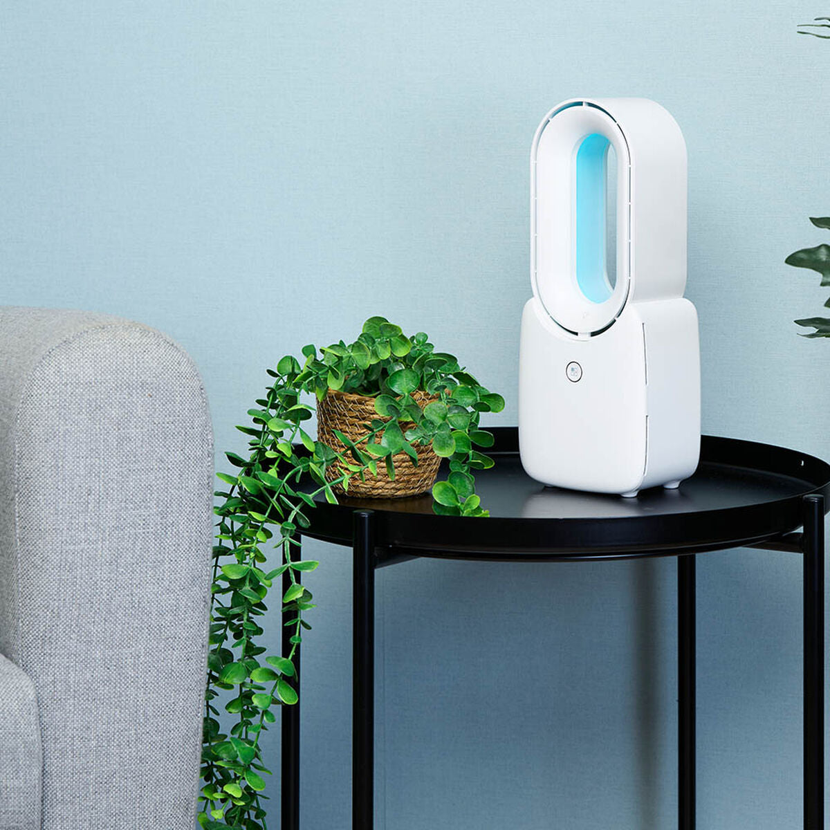 V5HF7FA1C6274F31CA22C68189CACEBCD36R6683541P6