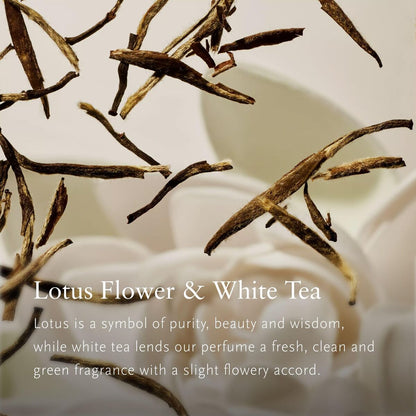 V4H24C3CC639385398D6B1B1FAF9ED8D5A6R7425035P4