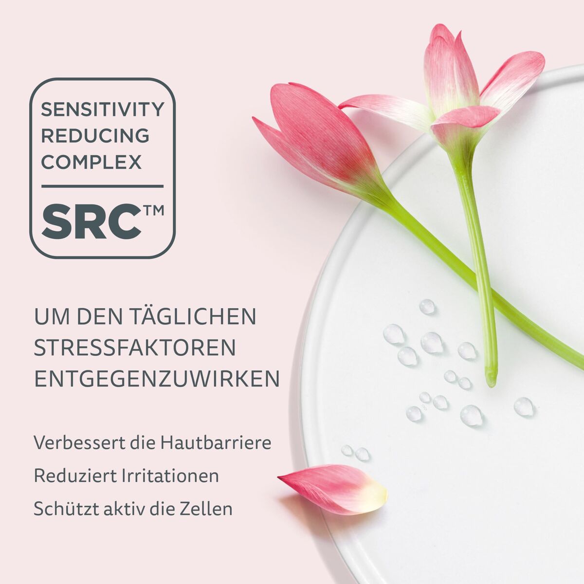 V13H89D681FDA89B19F88C91FD582CC3F29BR7717713P3